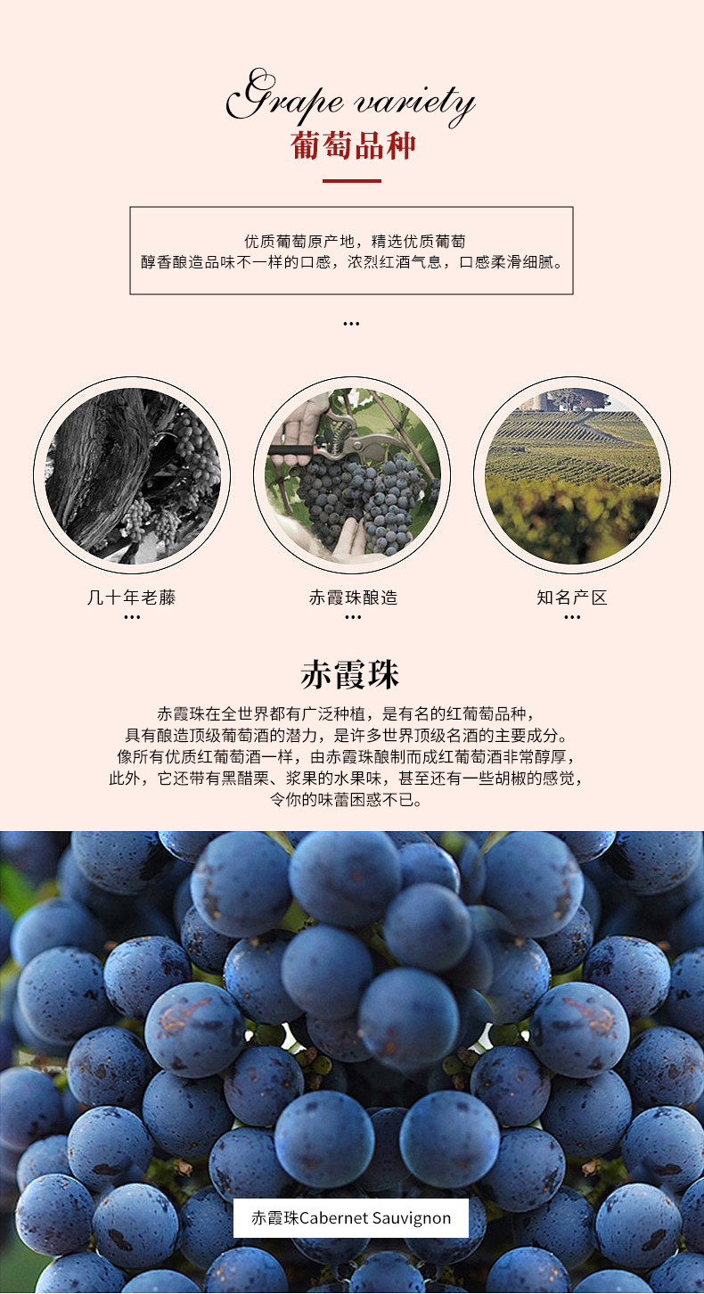 好色AV网站下载多莉詳情頁_02.jpg