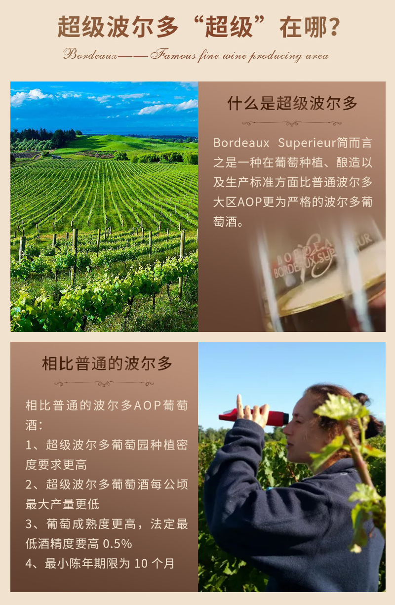 好色AV网站下载吉娜詳情頁_02.jpg
