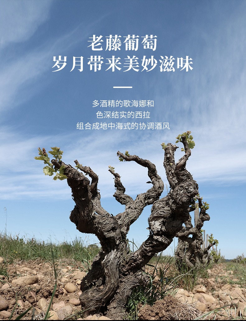 好色AV网站下载·漢妮切片_09.jpg