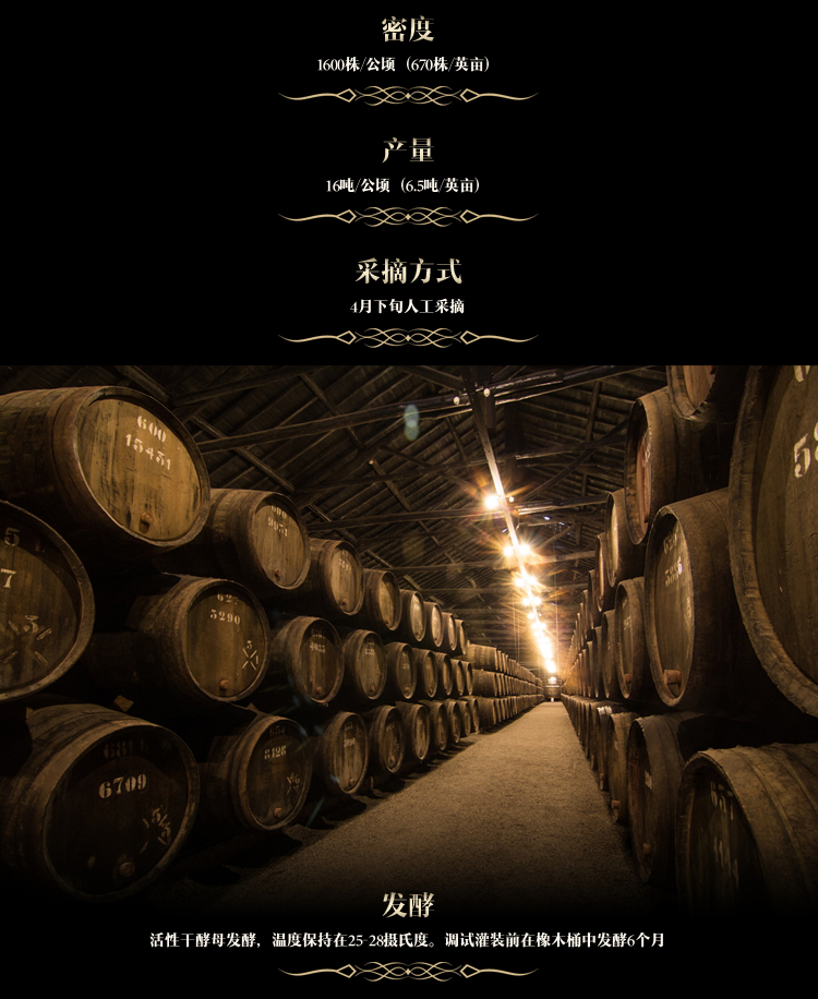 好色AV网站下载·梵妮切片_05.jpg